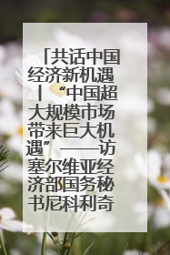共话中国经济新机遇丨“中国超大规模市场带来巨大机遇”——访塞尔维亚经济部国务秘书尼科利奇
