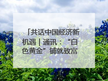 共话中国经济新机遇｜通讯：“白色黄金”铺就致富路——中国技术助力科特迪瓦橡胶产业增产增效
