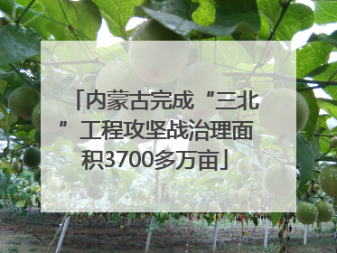 内蒙古完成“三北”工程攻坚战治理面积3700多万亩