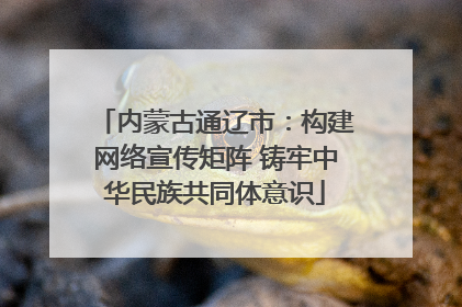 内蒙古通辽市：构建网络宣传矩阵 铸牢中华民族共同体意识