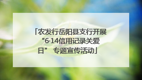 农发行岳阳县支行开展“6·14信用记录关爱日” 专题宣传活动