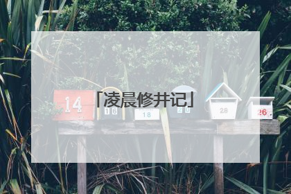 凌晨修井记