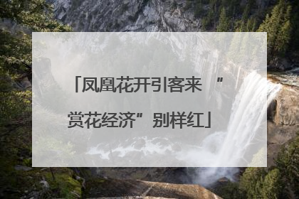 凤凰花开引客来 “赏花经济”别样红