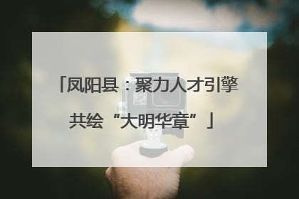 凤阳县：聚力人才引擎 共绘“大明华章”