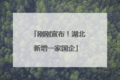 刚刚宣布！湖北新增一家国企