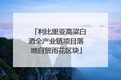 利比里亚高粱白酒全产业链项目落地自贸雨花区块