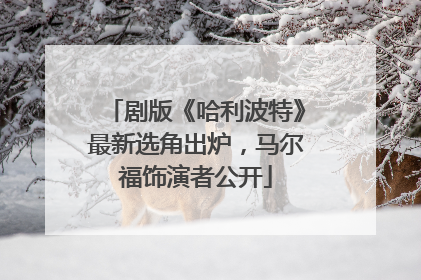 剧版《哈利波特》最新选角出炉，马尔福饰演者公开