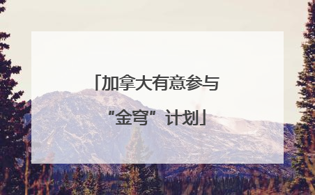加拿大有意参与“金穹”计划