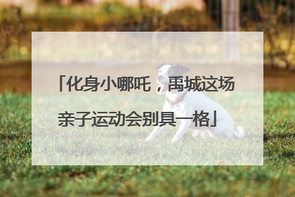 化身小哪吒，禹城这场亲子运动会别具一格