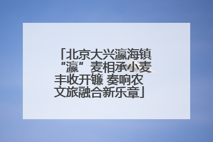 北京大兴瀛海镇“瀛”麦相承小麦丰收开镰 奏响农文旅融合新乐章