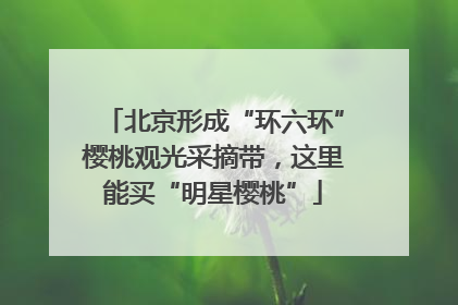北京形成“环六环”樱桃观光采摘带，这里能买“明星樱桃”
