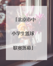 北京市中小学生篮球联赛落幕