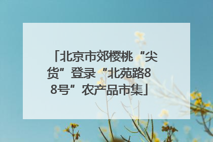 北京市郊樱桃“尖货”登录“北苑路88号”农产品市集