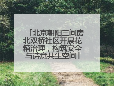 北京朝阳三间房北双桥社区开展花箱治理，构筑安全与诗意共生空间