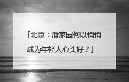 北京：潘家园何以悄悄成为年轻人心头好？