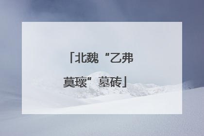 北魏“乙弗莫瓌”墓砖