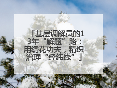 基层调解员的13年“解题”路：用绣花功夫，精织治理“经纬线”