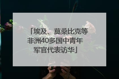 埃及、莫桑比克等非洲40多国中青年军官代表访华