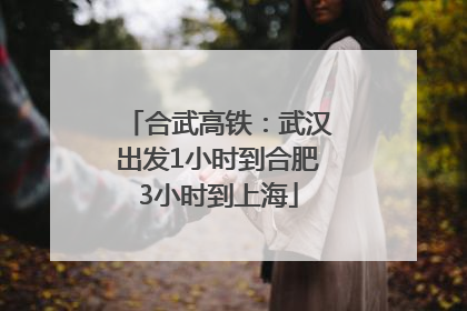 合武高铁：武汉出发1小时到合肥3小时到上海