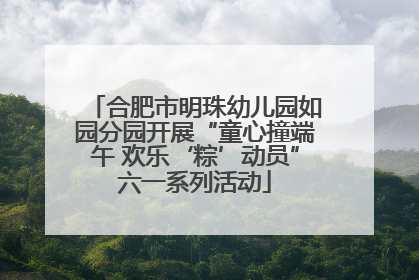 合肥市明珠幼儿园如园分园开展“童心撞端午 欢乐‘粽’动员”六一系列活动