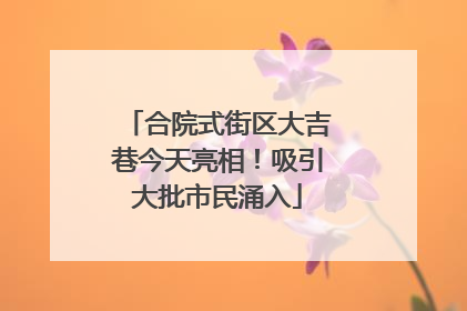 合院式街区大吉巷今天亮相！吸引大批市民涌入
