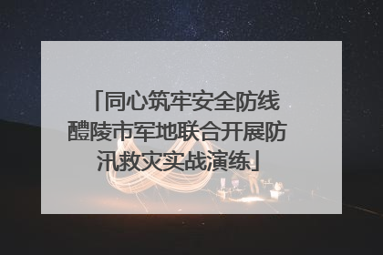 同心筑牢安全防线 醴陵市军地联合开展防汛救灾实战演练