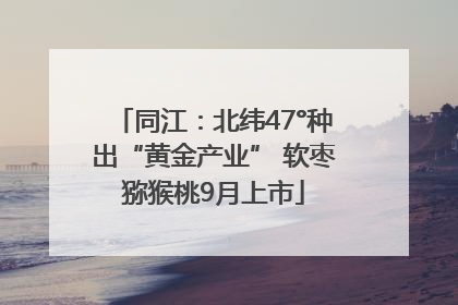 同江：北纬47°种出“黄金产业” 软枣猕猴桃9月上市