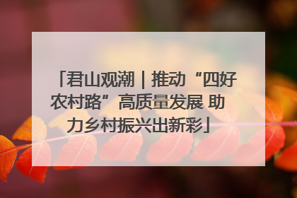 君山观潮｜推动“四好农村路”高质量发展 助力乡村振兴出新彩