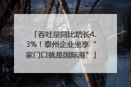 吞吐量同比增长4.3%！泰州企业坐享“家门口就是国际港”