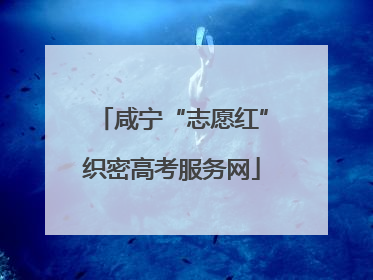 咸宁“志愿红”织密高考服务网