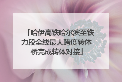 哈伊高铁哈尔滨至铁力段全线最大跨度转体桥完成转体对接