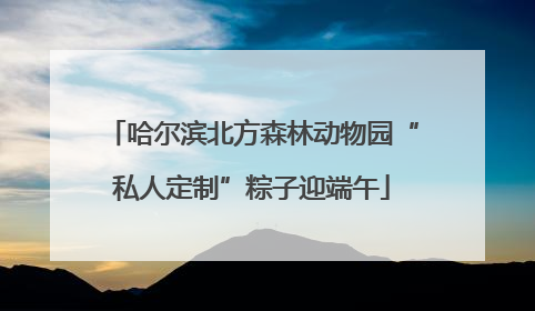 哈尔滨北方森林动物园“私人定制”粽子迎端午