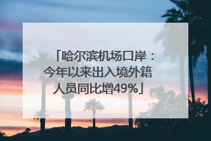 哈尔滨机场口岸：今年以来出入境外籍人员同比增49%