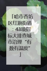 哈市香坊区红旗街道：43项指标大排查城市治理“有数有温度”