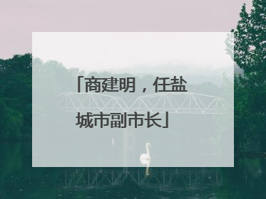 商建明，任盐城市副市长