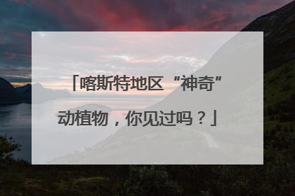 喀斯特地区“神奇”动植物，你见过吗？