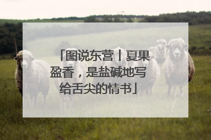 图说东营丨夏果盈香，是盐碱地写给舌尖的情书