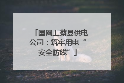 国网上蔡县供电公司：筑牢用电“安全防线”
