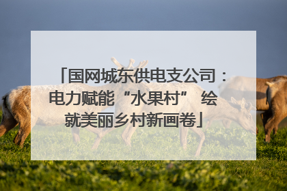 国网城东供电支公司：电力赋能“水果村” 绘就美丽乡村新画卷