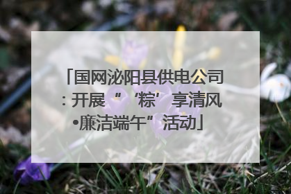 国网泌阳县供电公司：开展“‘粽’享清风 •廉洁端午”活动