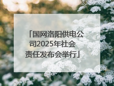 国网洛阳供电公司2025年社会责任发布会举行