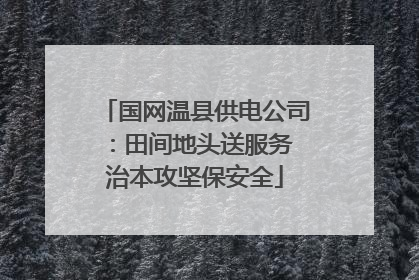 国网温县供电公司：田间地头送服务 治本攻坚保安全