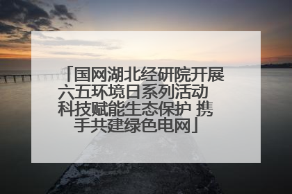 国网湖北经研院开展六五环境日系列活动 科技赋能生态保护 携手共建绿色电网
