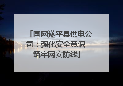 国网遂平县供电公司：强化安全意识 筑牢网安防线