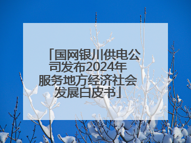 国网银川供电公司发布2024年服务地方经济社会发展白皮书