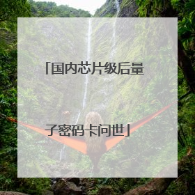 国内芯片级后量子密码卡问世