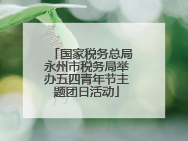 国家税务总局永州市税务局举办五四青年节主题团日活动