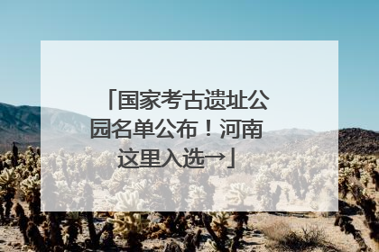 国家考古遗址公园名单公布！河南这里入选→