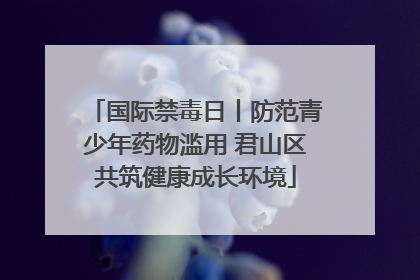 国际禁毒日丨防范青少年药物滥用 君山区共筑健康成长环境