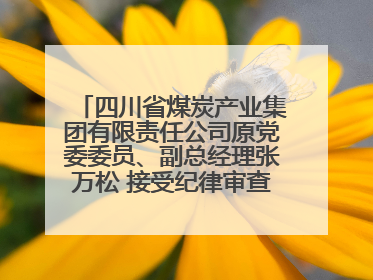 四川省煤炭产业集团有限责任公司原党委委员、副总经理张万松 接受纪律审查和监察调查